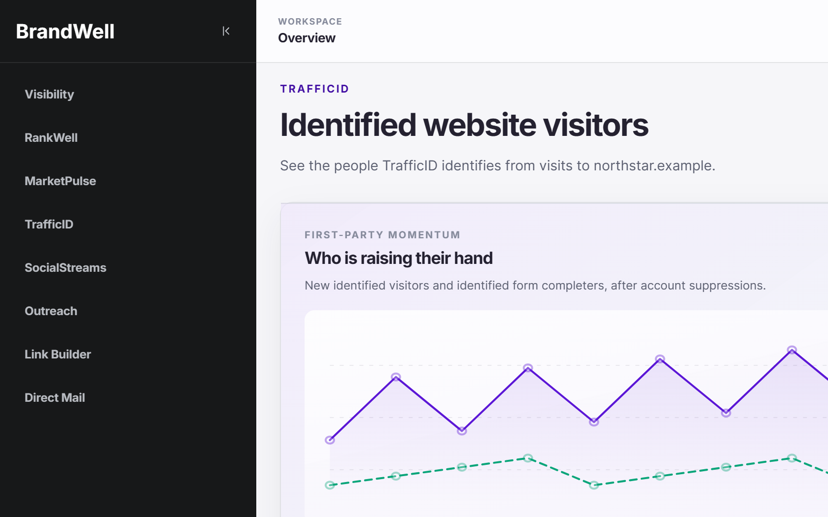 TrafficID identified website visitors
