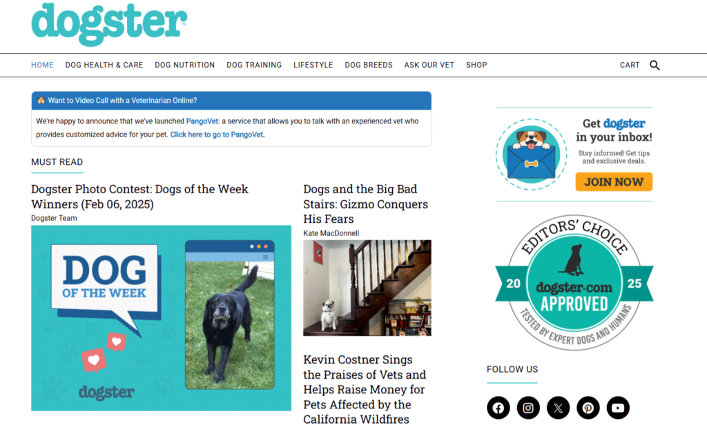 25 Exciting Types of Blogs You Can Start Today - BrandWell