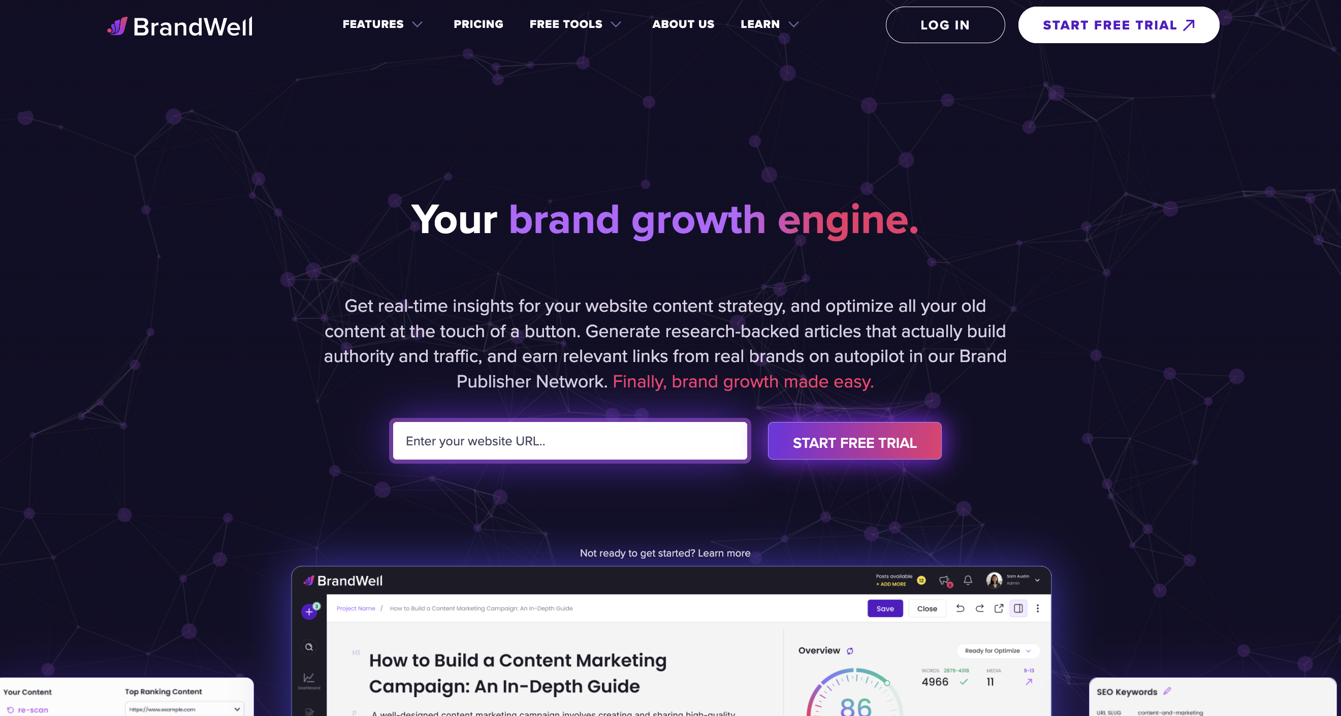 BrandWell | Brand Growth, Made Easy