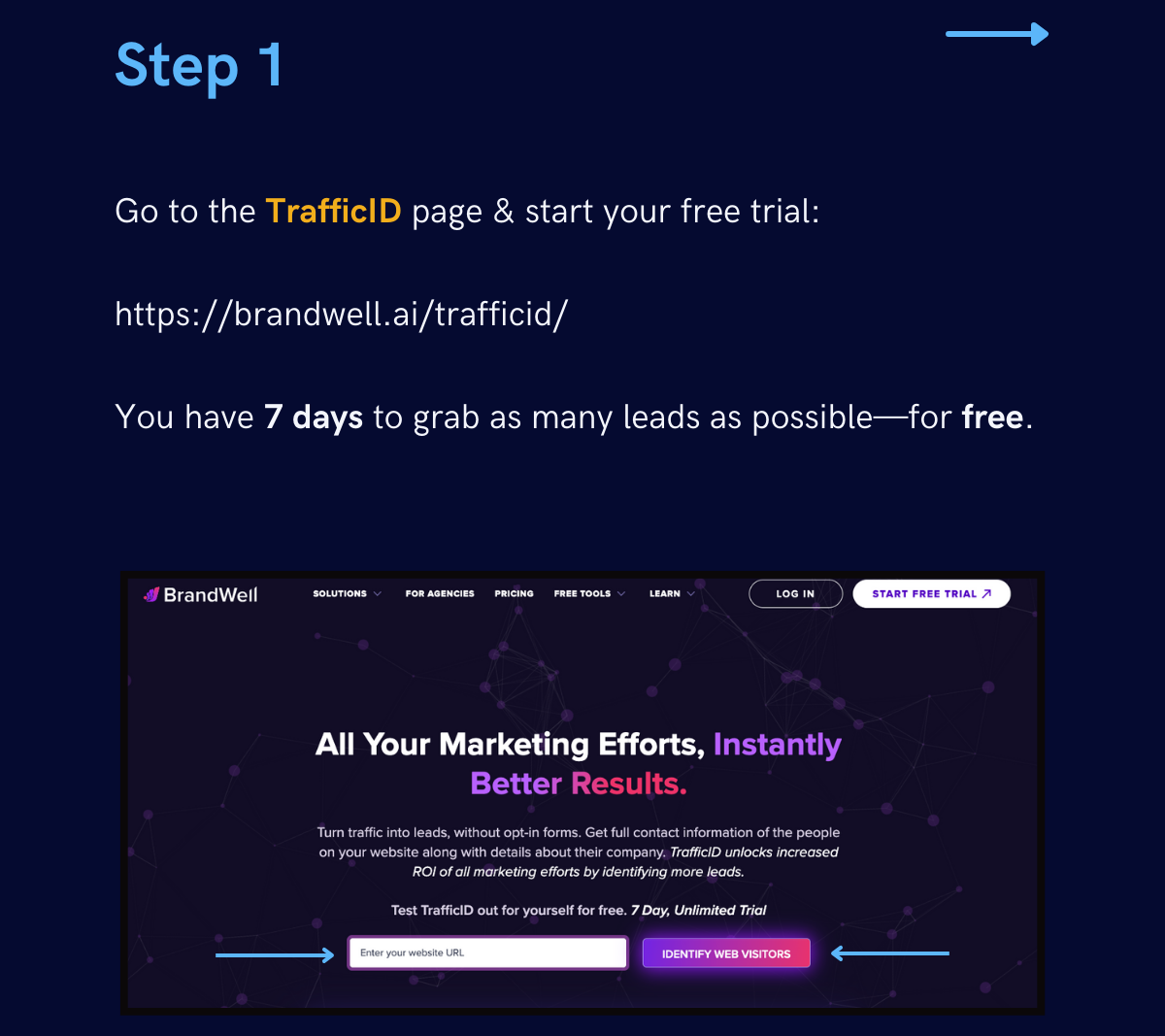 sign up for trafficid free trial