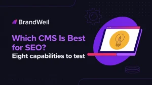Which CMS is best for SEO: eight capabilities to test
