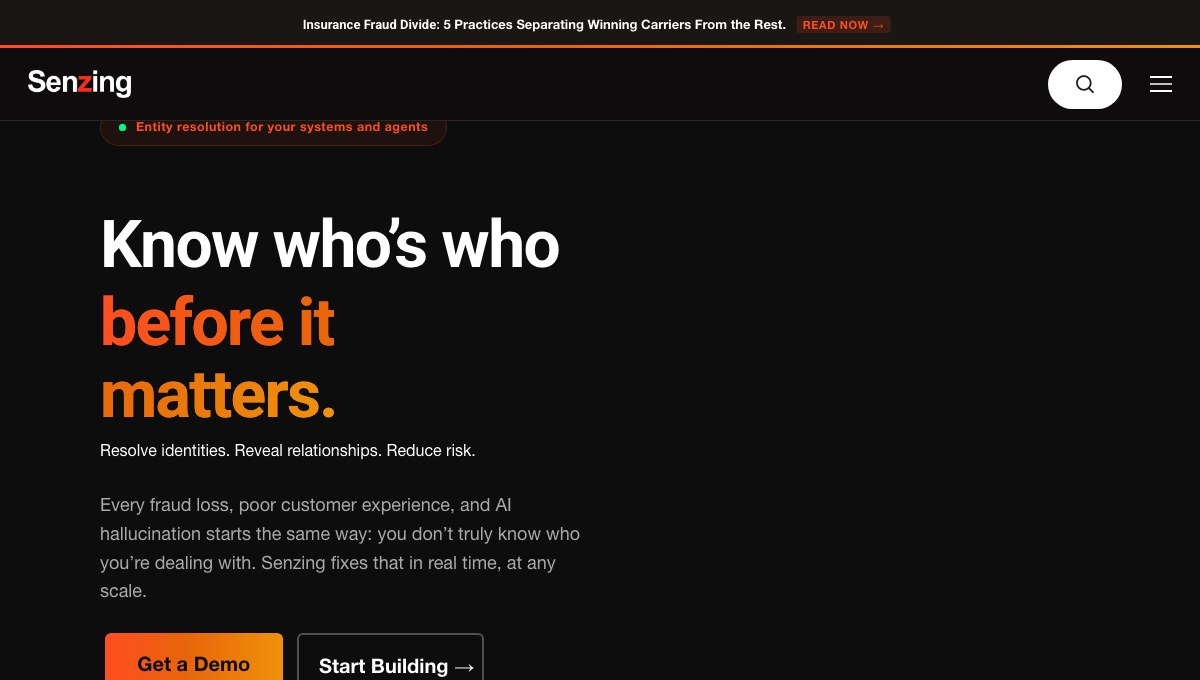 Senzing homepage hero